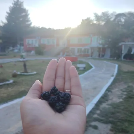 сболярци 3*