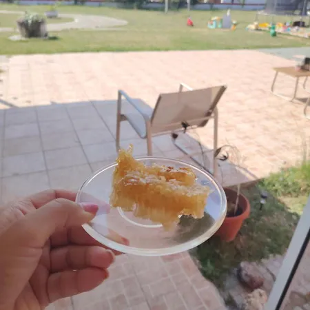 сболярци